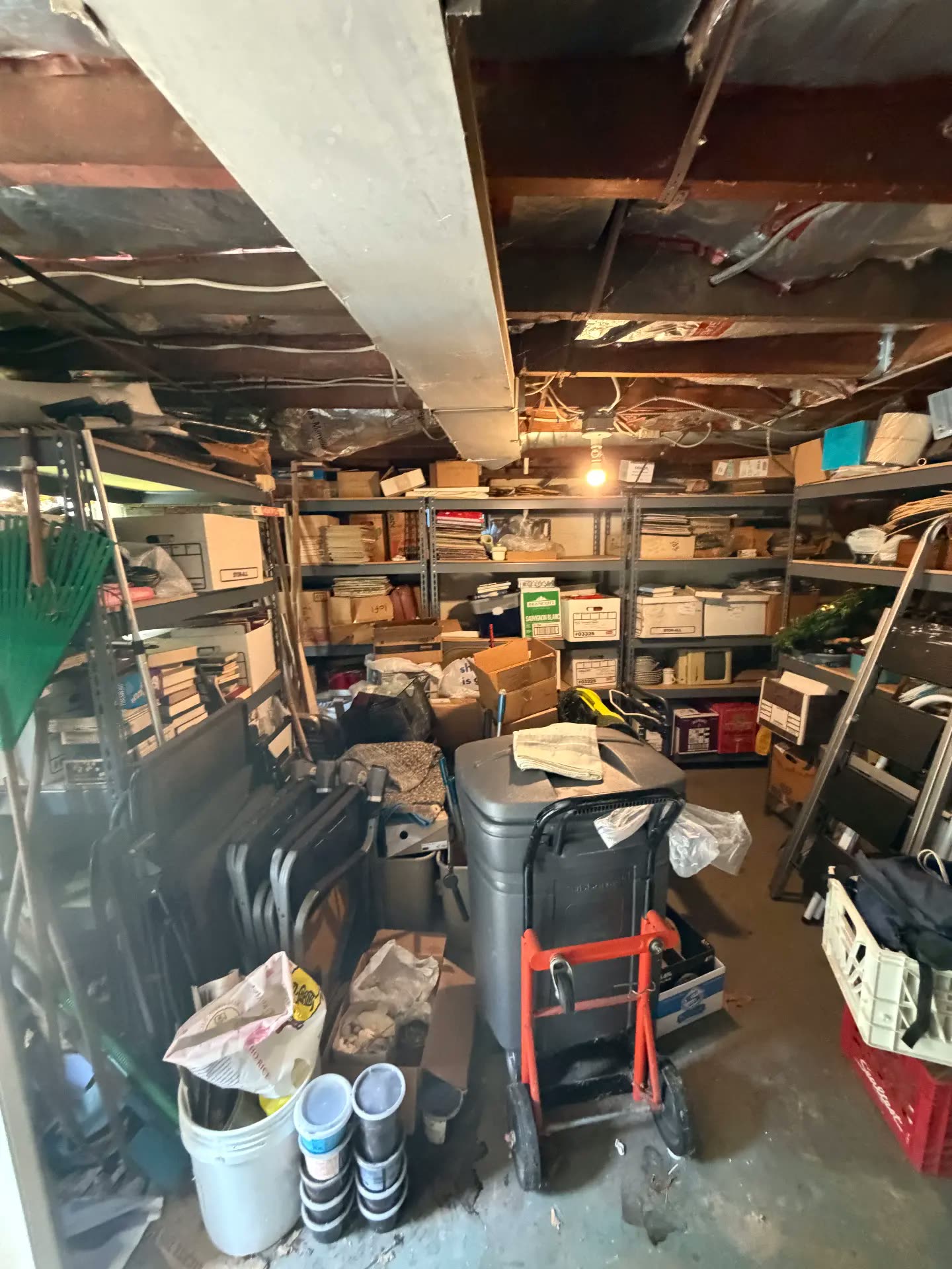 Basement shelving overflowing before cleanout