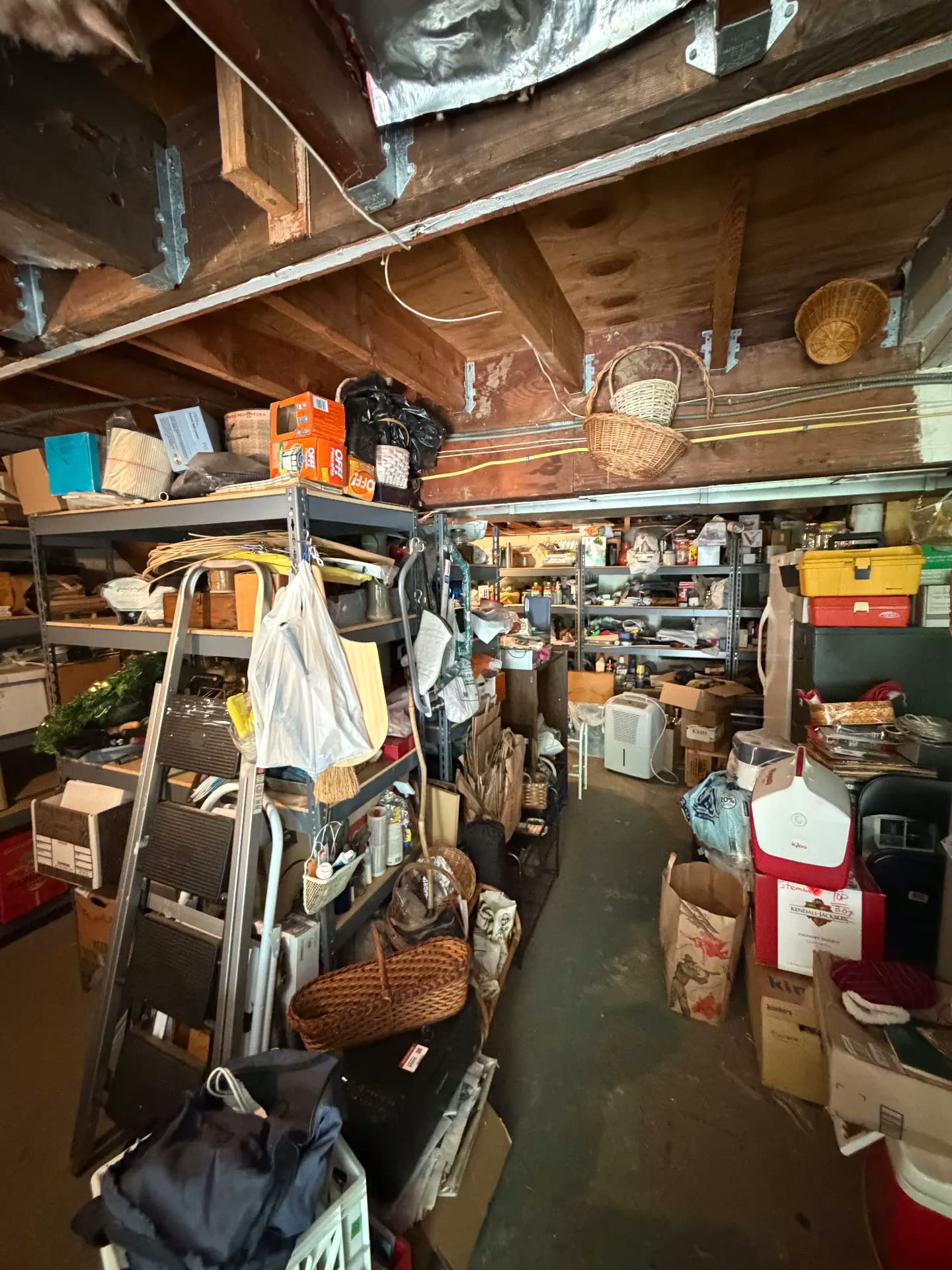 Cluttered basement walkway before cleanout