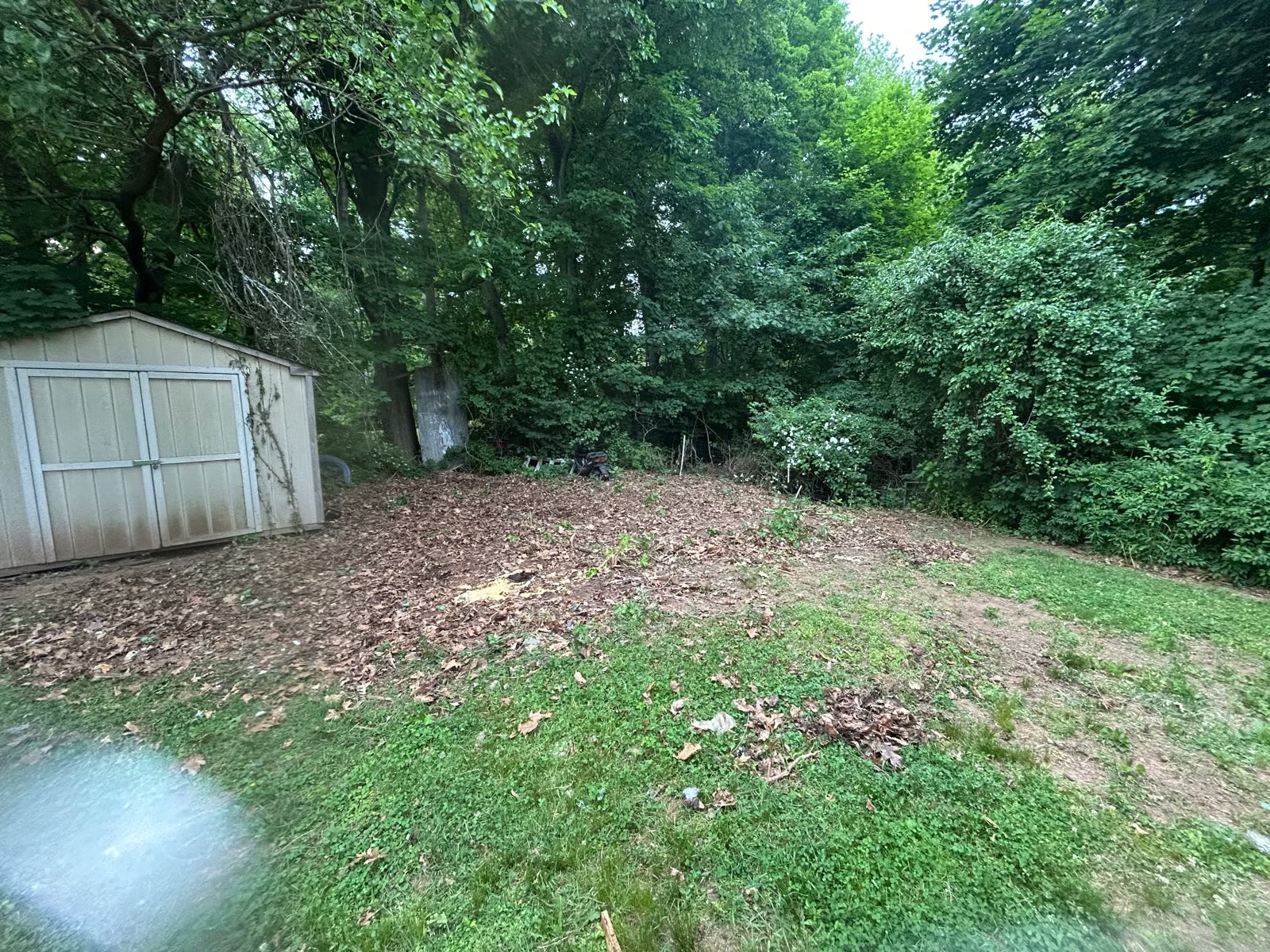 Cleared backyard after junk removal