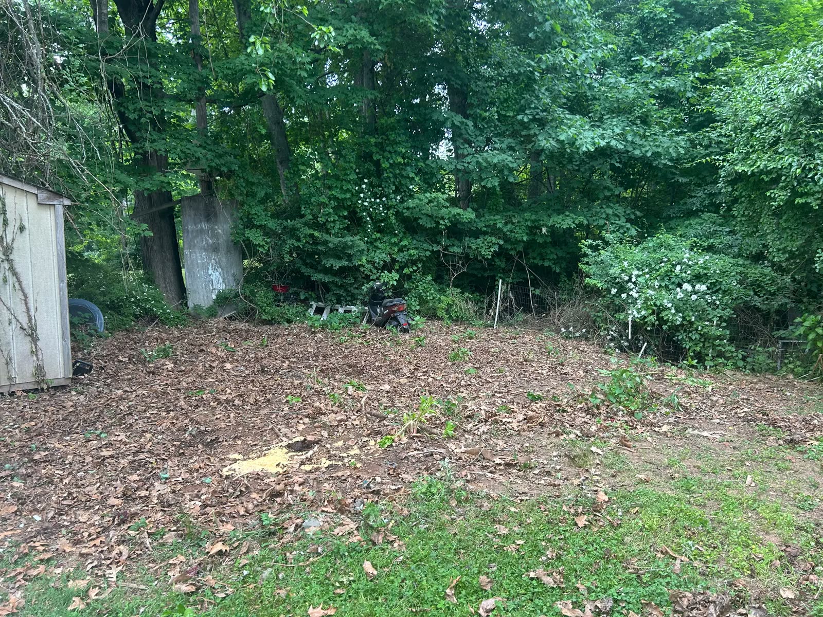 Backyard cleared down to bare ground after cleanup
